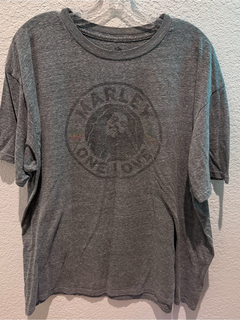 Men’s Gray Graphic T-Shirt